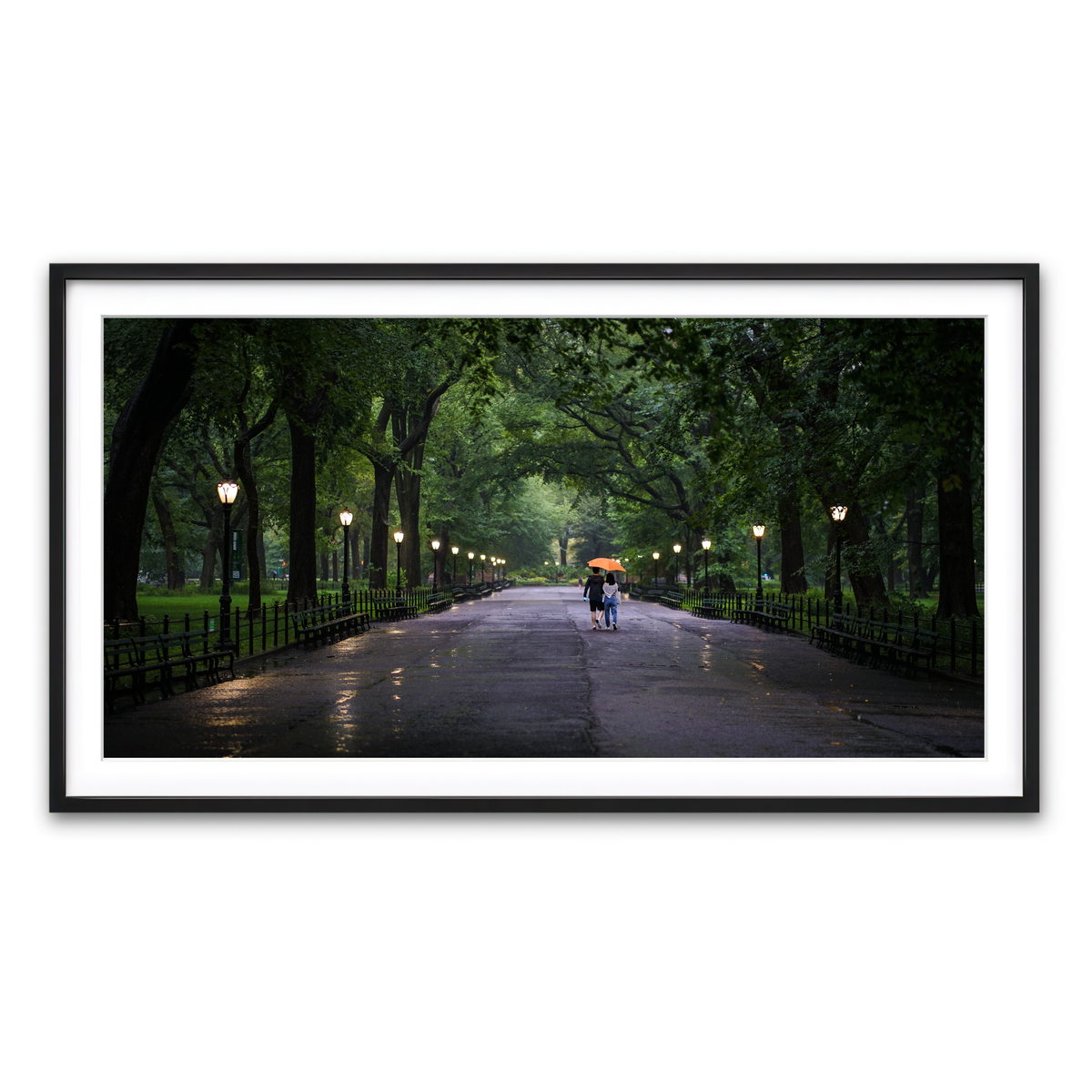 Framed Print 2x1 Black