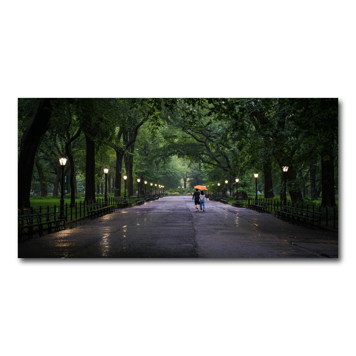AUTO-MOCKUP WHITE | Central Park Walk | 1 Piece | Gallery Wrap Canvas | group=2x1