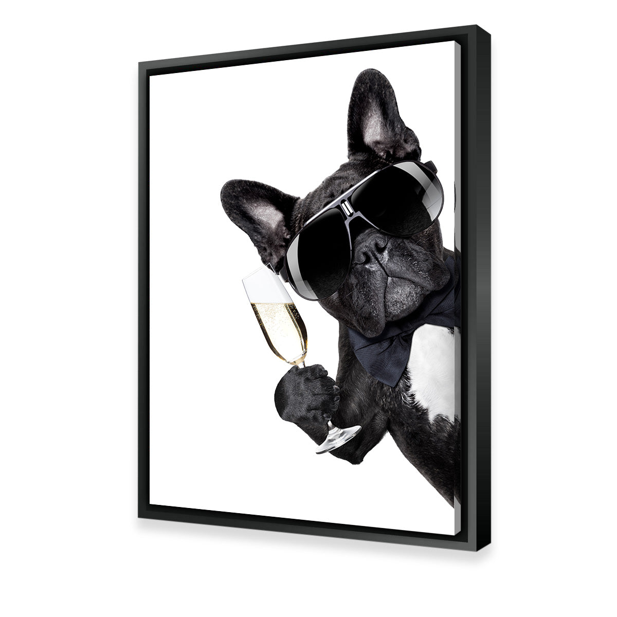 Champagne Dog Wall Art