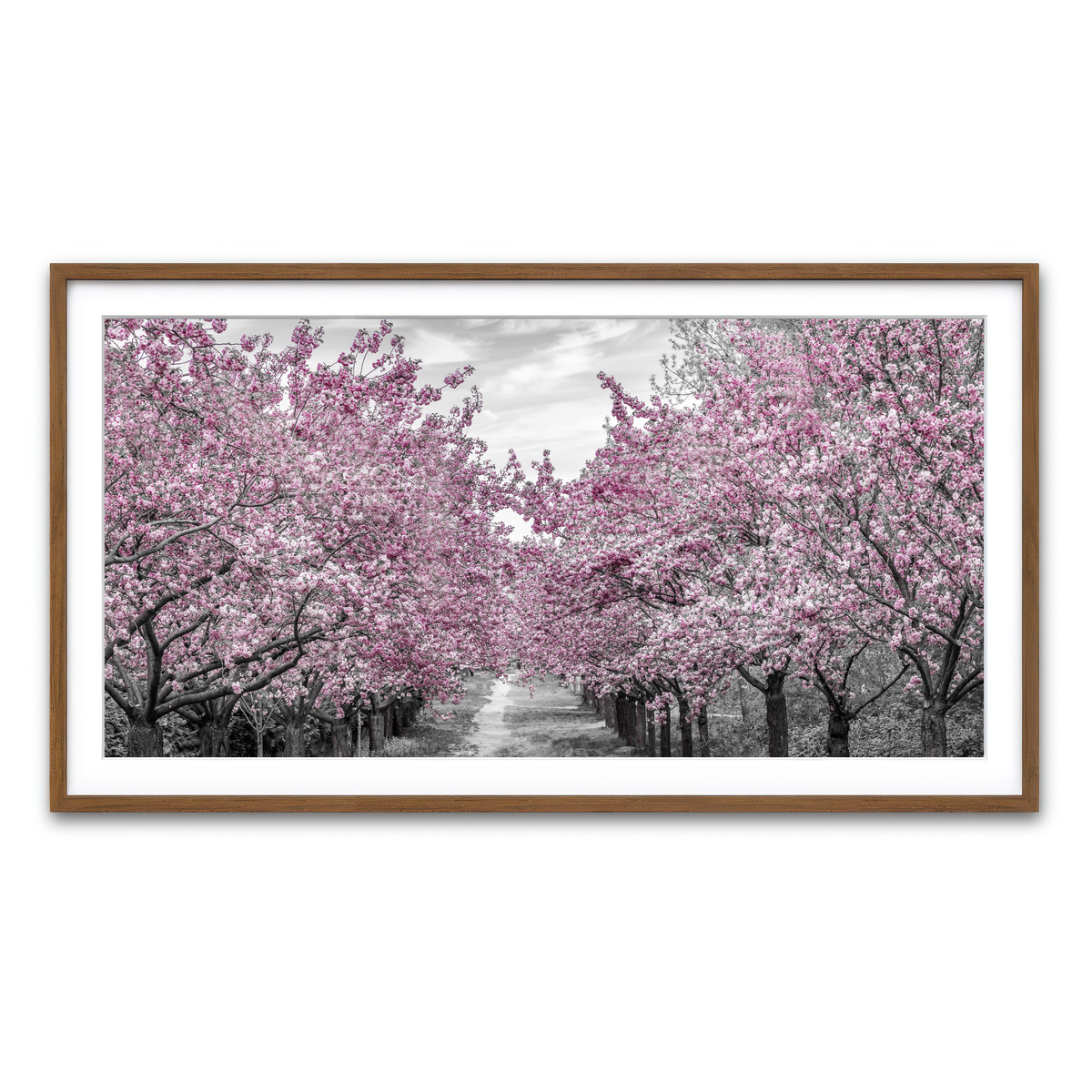 Framed Print 2x1 Walnut