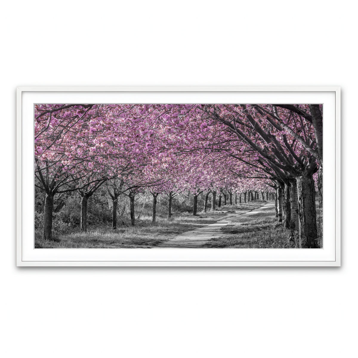 Framed Print 2x1 White
