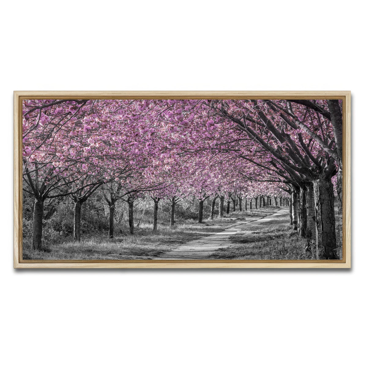 AUTO-MOCKUP WHITE | Charming cherry blossom alley in pink | 1 Piece | Natural Framed Canvas | group=2x1