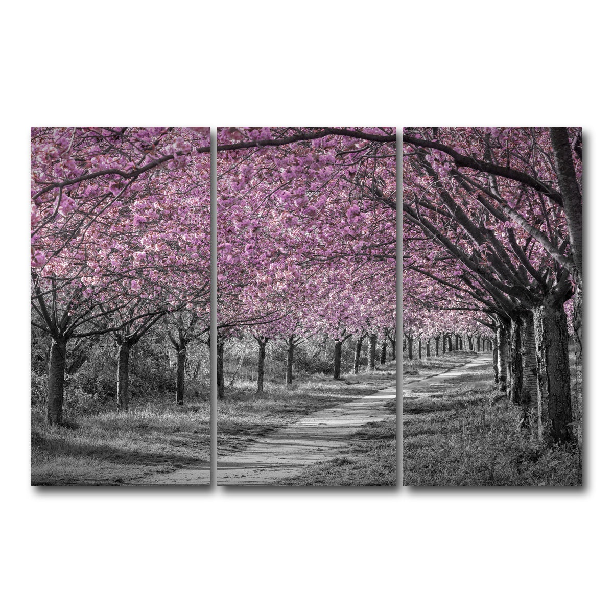 AUTO-MOCKUP WHITE | Charming cherry blossom alley in pink | 3 Piece | Gallery Wrap Canvas | group=12x24