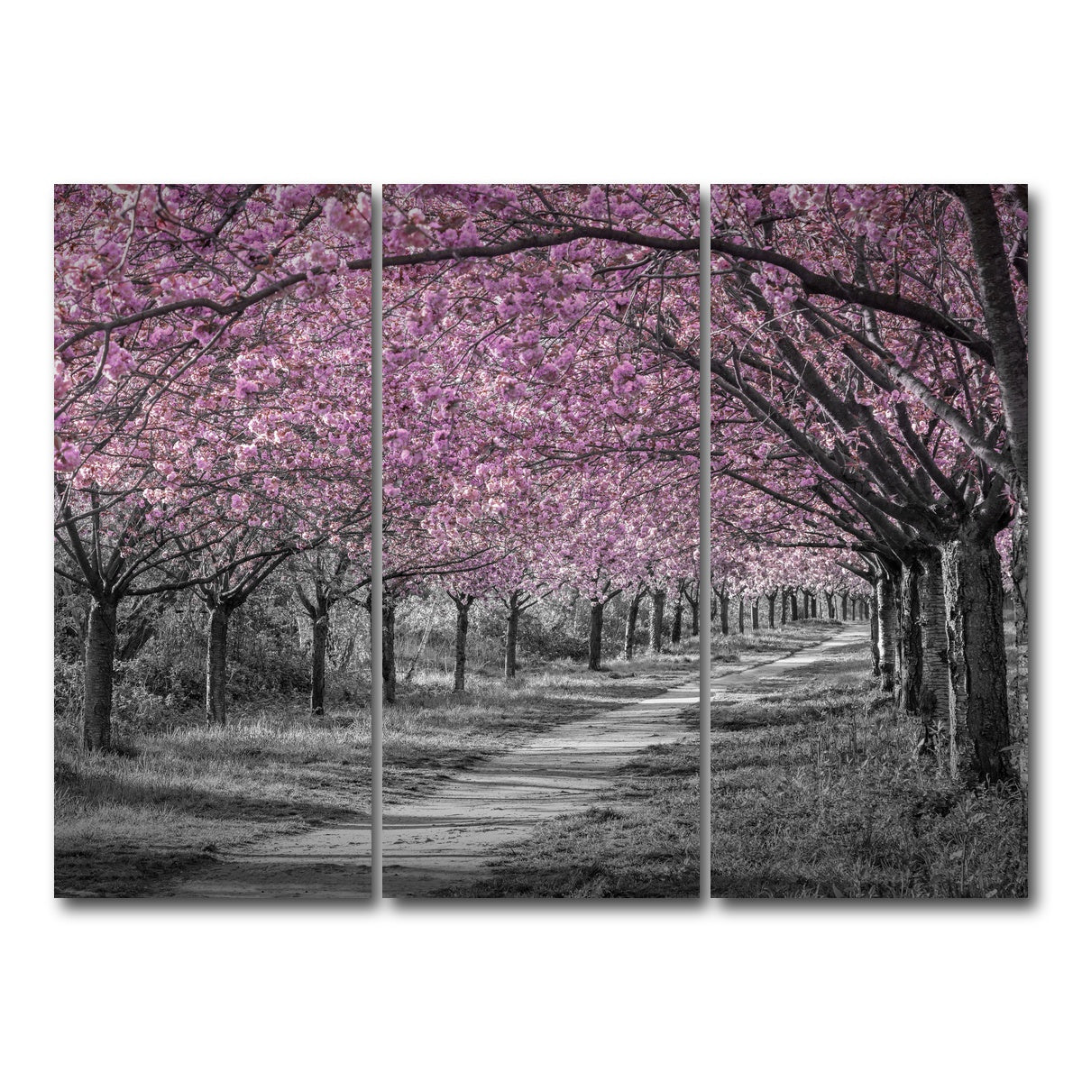 AUTO-MOCKUP WHITE | Charming cherry blossom alley in pink | 3 Piece | Gallery Wrap Canvas | group=8x18