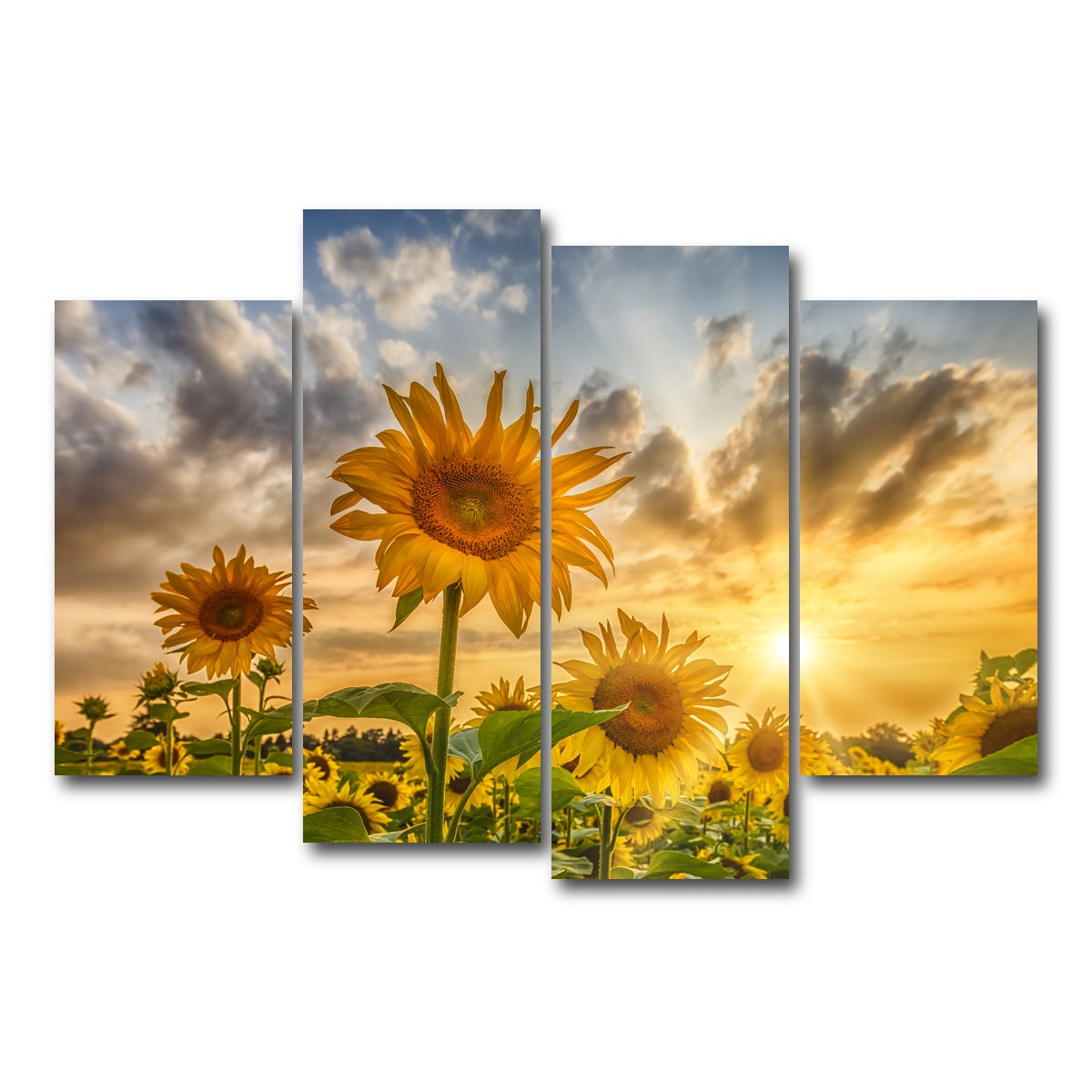 AUTO-MOCKUP WHITE | Charming sunflowers in sunset | 4 Piece | Gallery Wrap Canvas | group=4_short