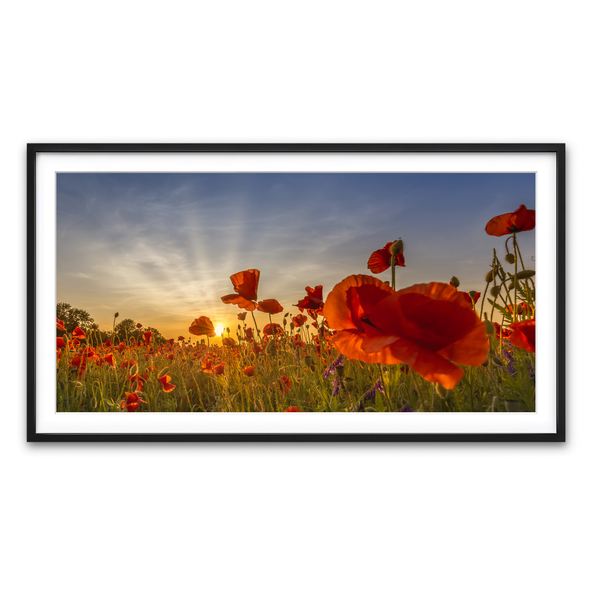 Framed Print 2x1 Black