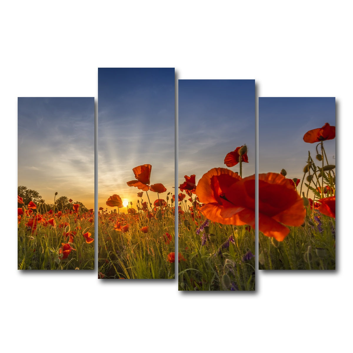 AUTO-MOCKUP WHITE | Charming sunset in poppy field | 4 Piece | Gallery Wrap Canvas | group=4_normal