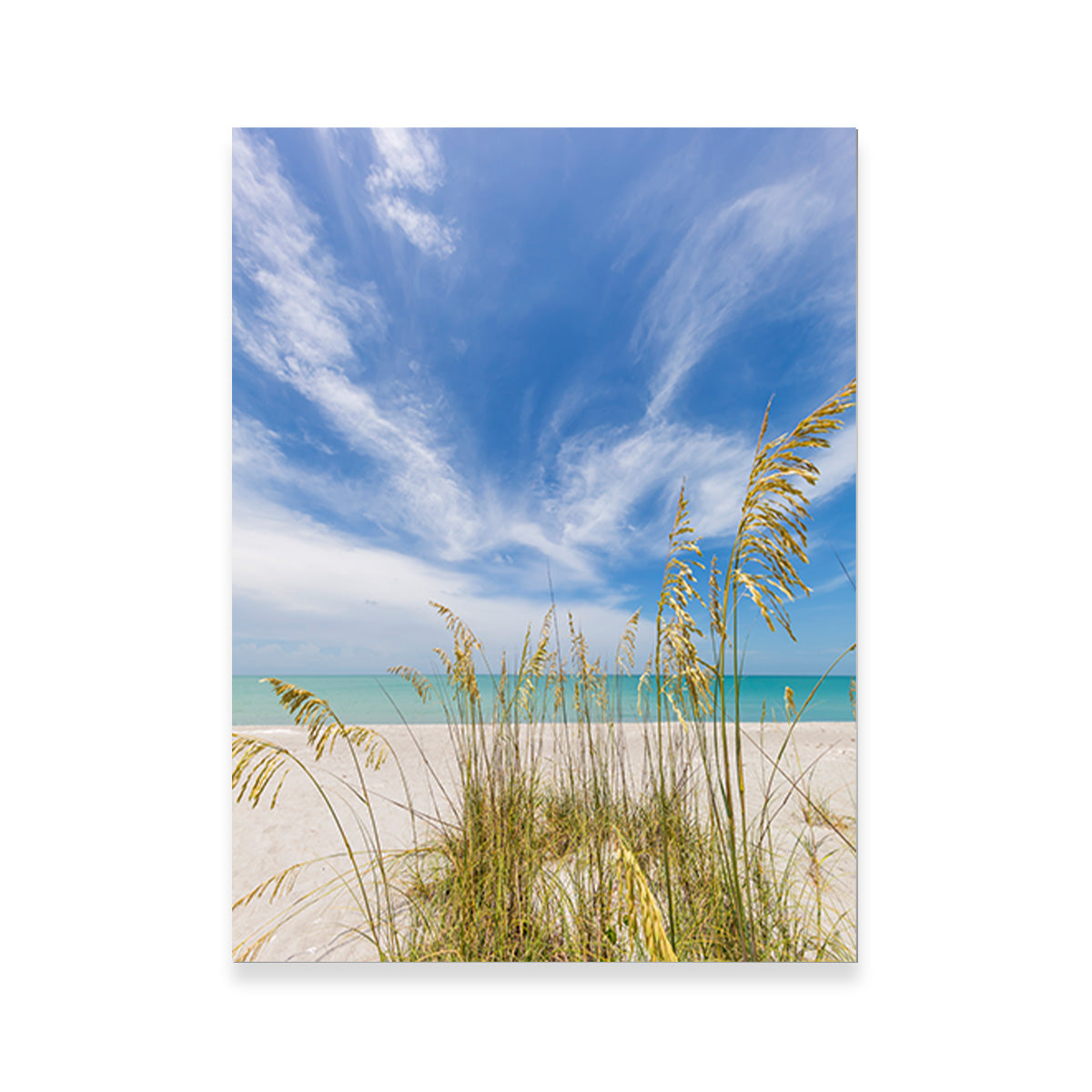 Charming Beach Scenery Wall Art