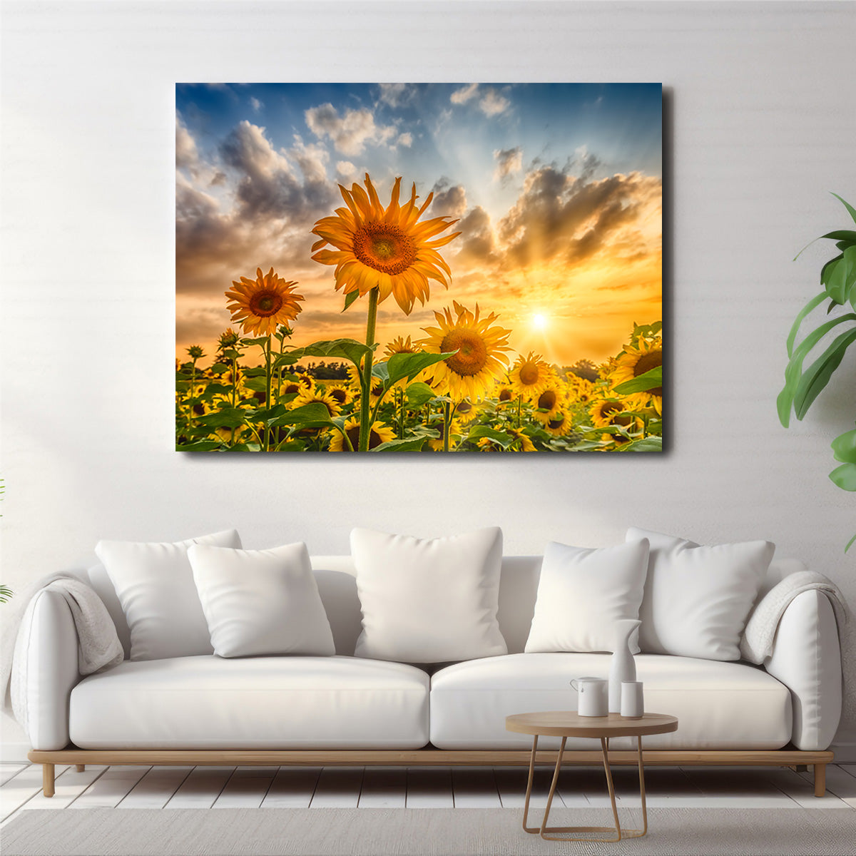 Charming Sunflowers in Sunset Wall Art