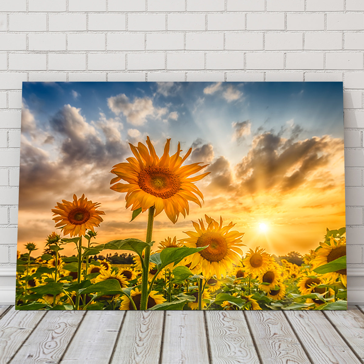 Charming Sunflowers in Sunset Wall Art