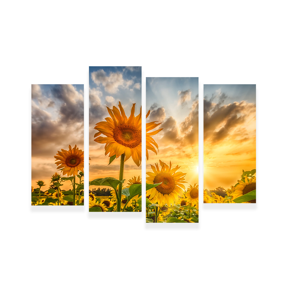 Charming Sunflowers in Sunset Wall Art