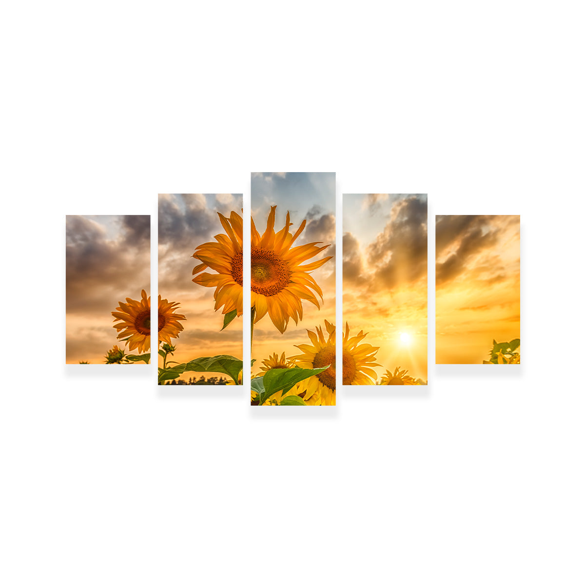 Charming Sunflowers in Sunset Wall Art