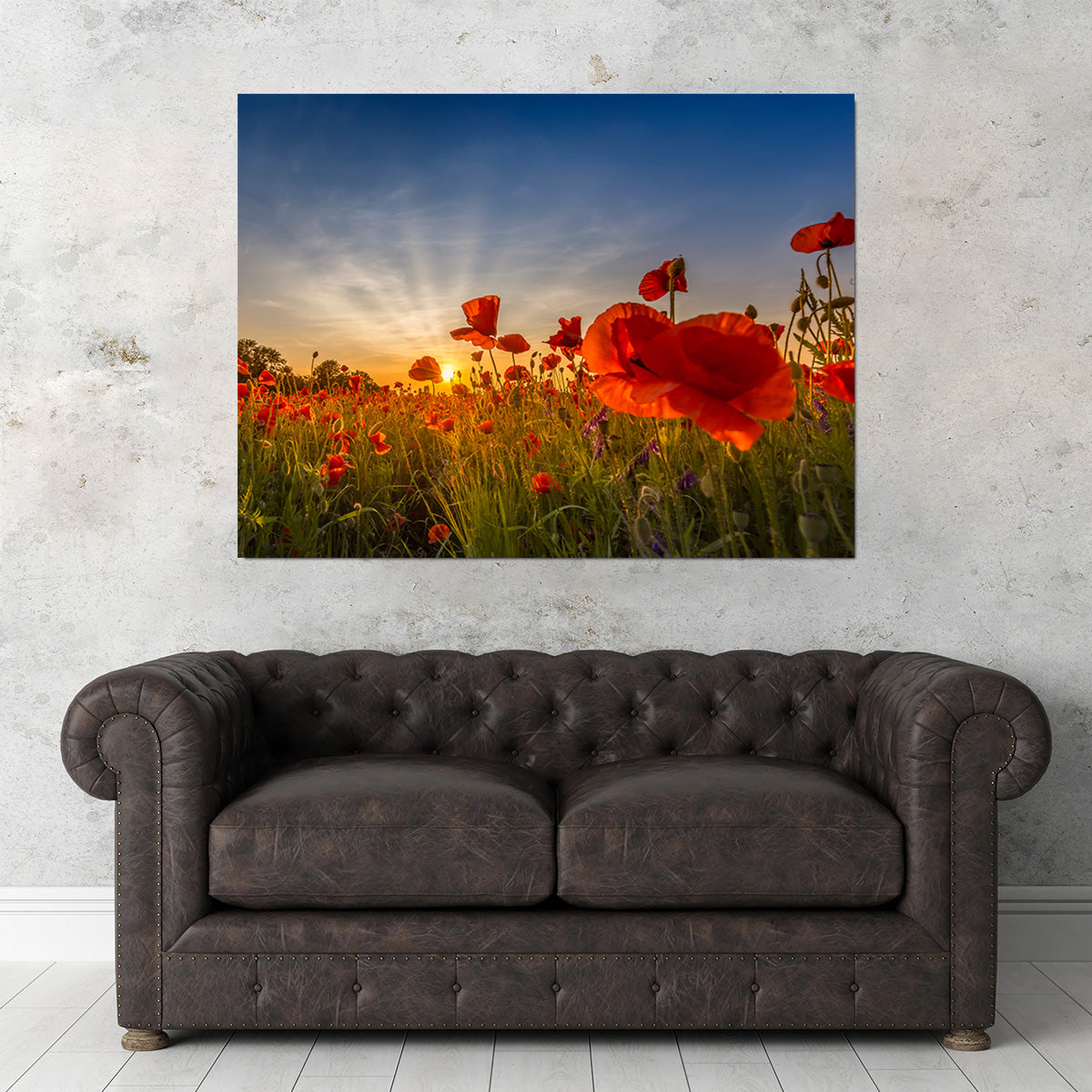 Charming Sunset in Poppy Field Wall Art