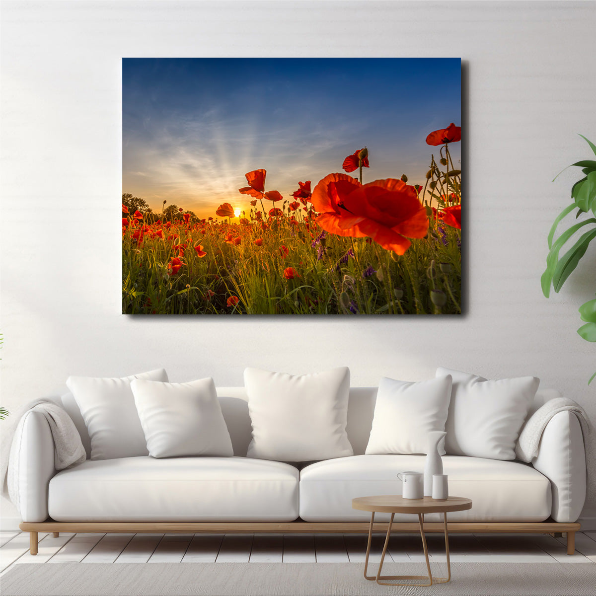 Charming Sunset in Poppy Field Wall Art