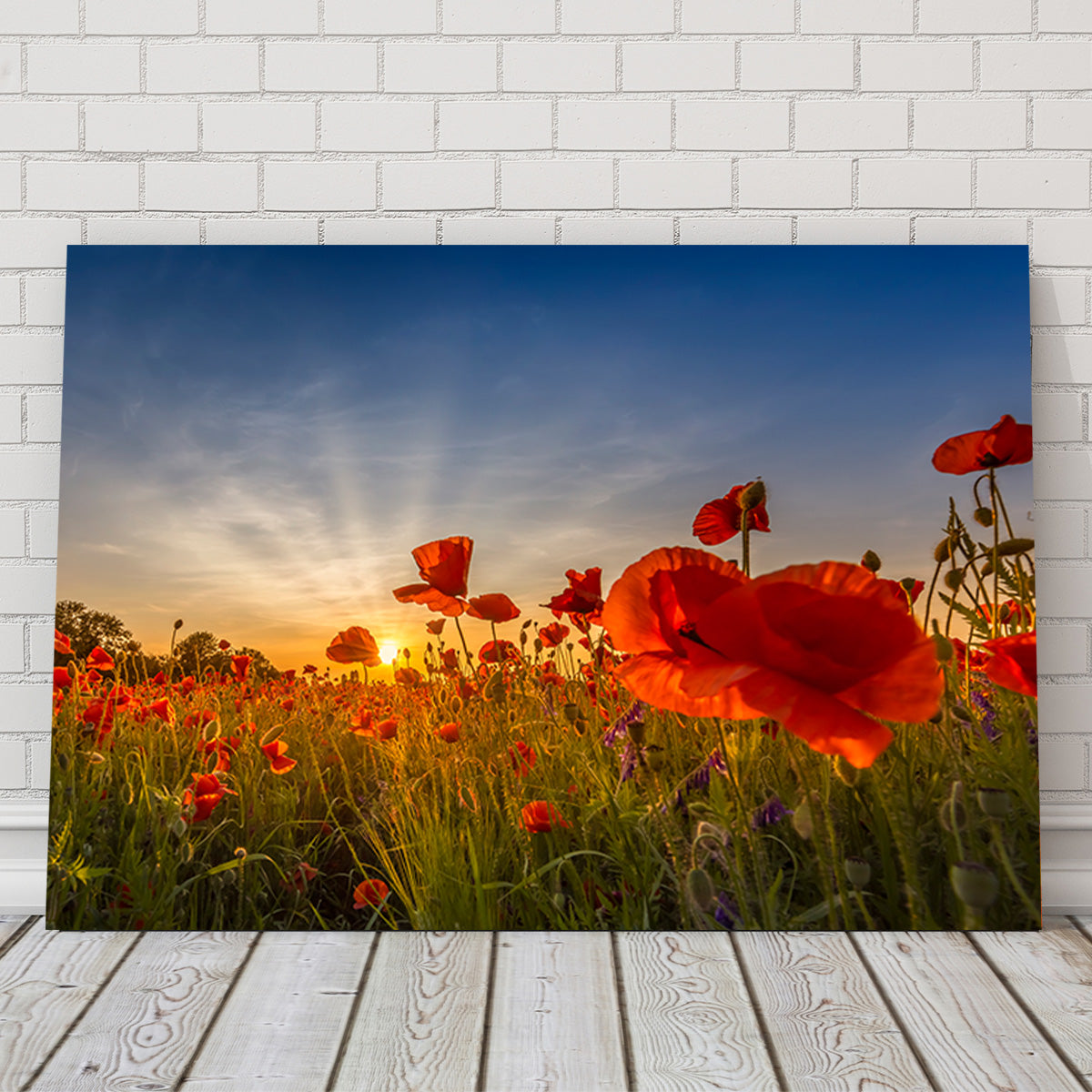 Charming Sunset in Poppy Field Wall Art