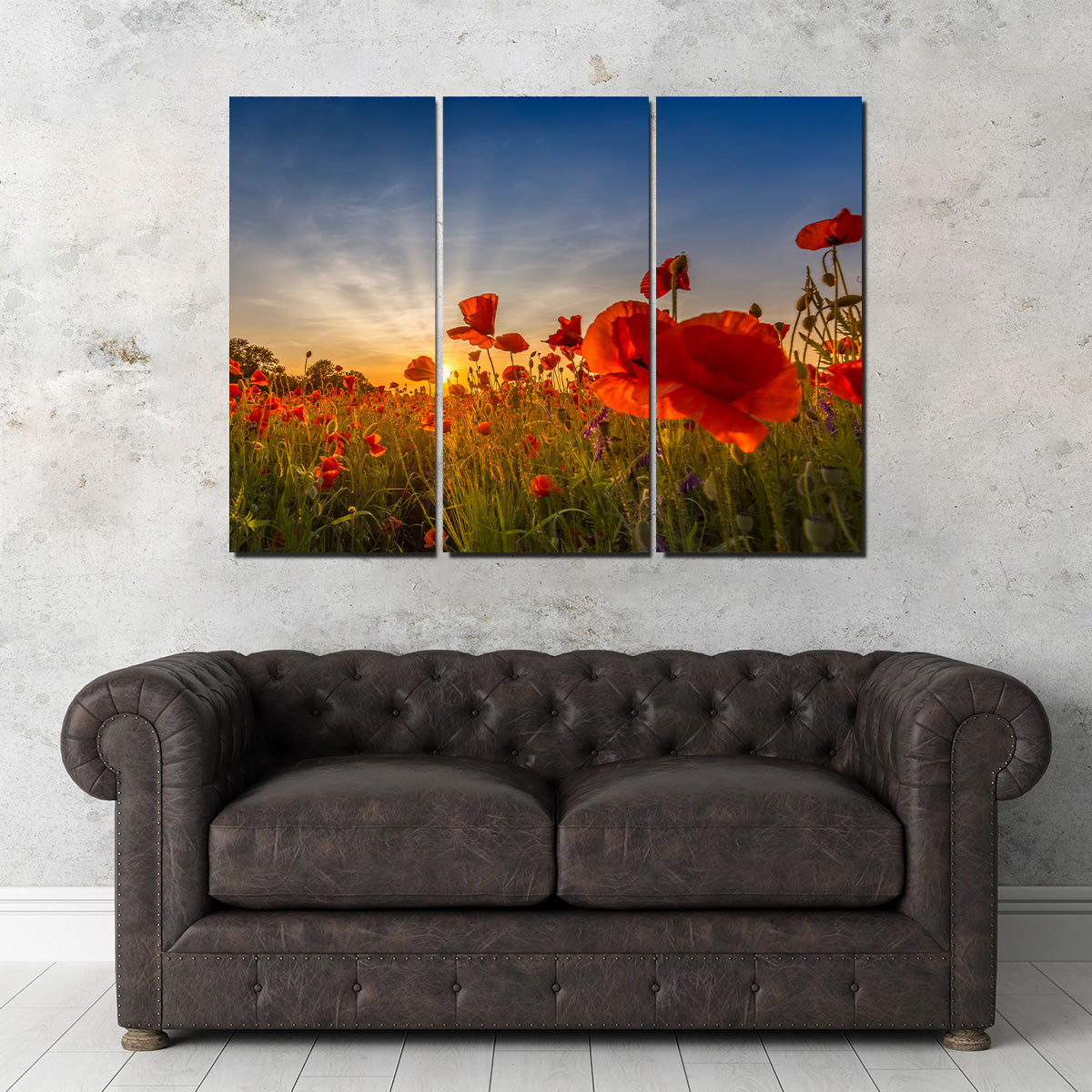 Charming Sunset in Poppy Field Wall Art