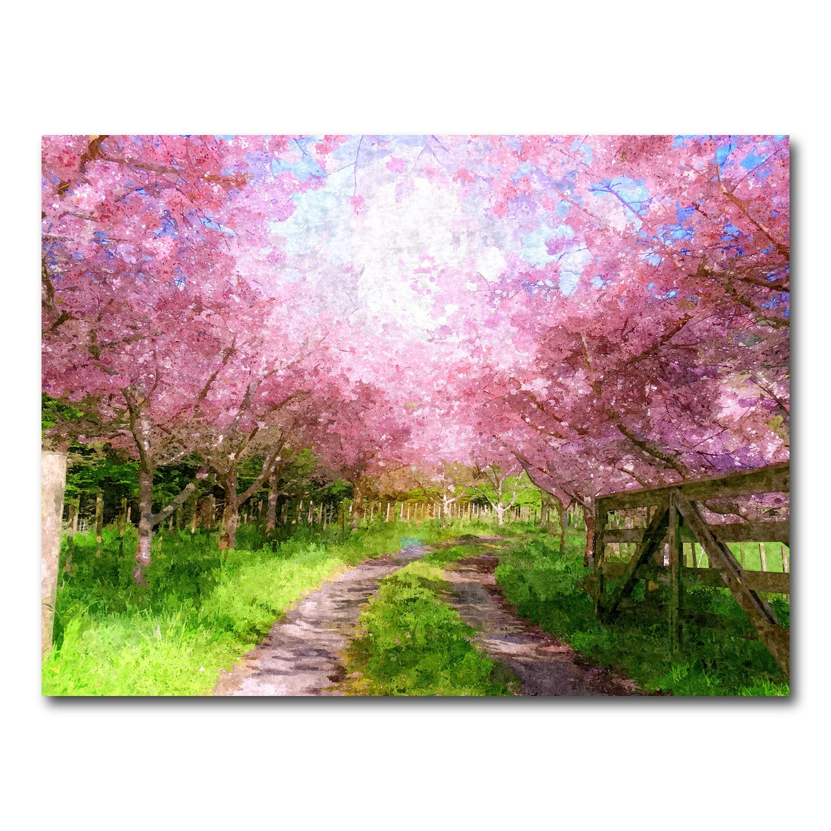 AUTO-MOCKUP WHITE | Cherry Blossom Lane | 1 Piece | Gallery Wrap Canvas | group=4x3