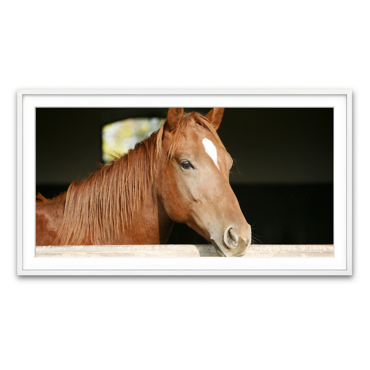 Framed Print 2x1 White