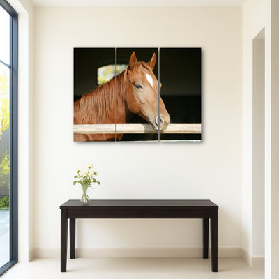 AUTO-MOCKUP ROOM | Chestnut horse