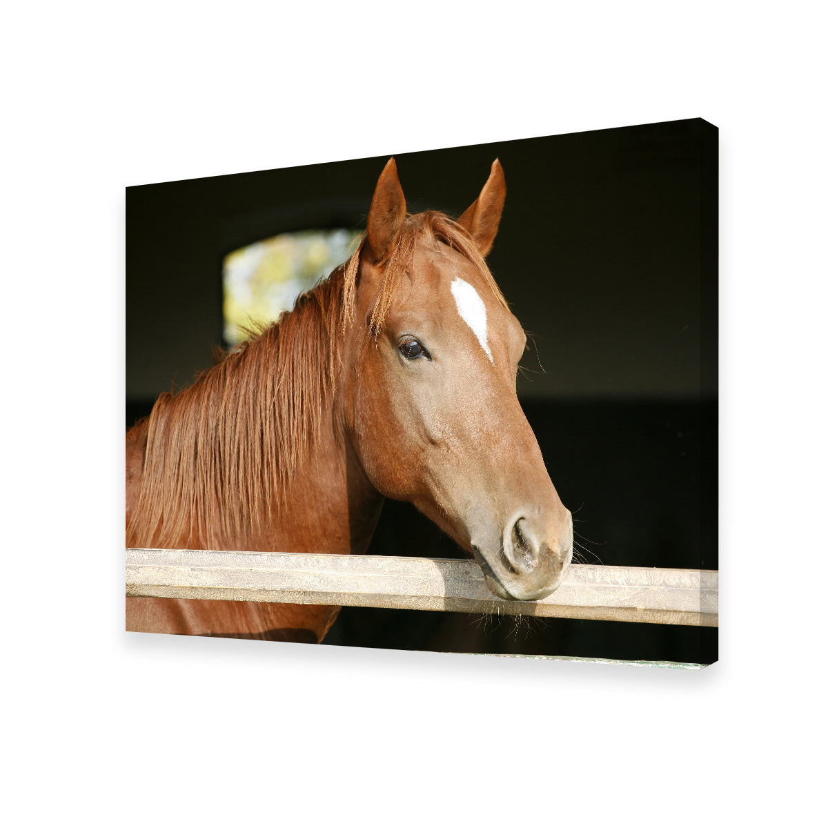 Chestnut Horse Wall Art