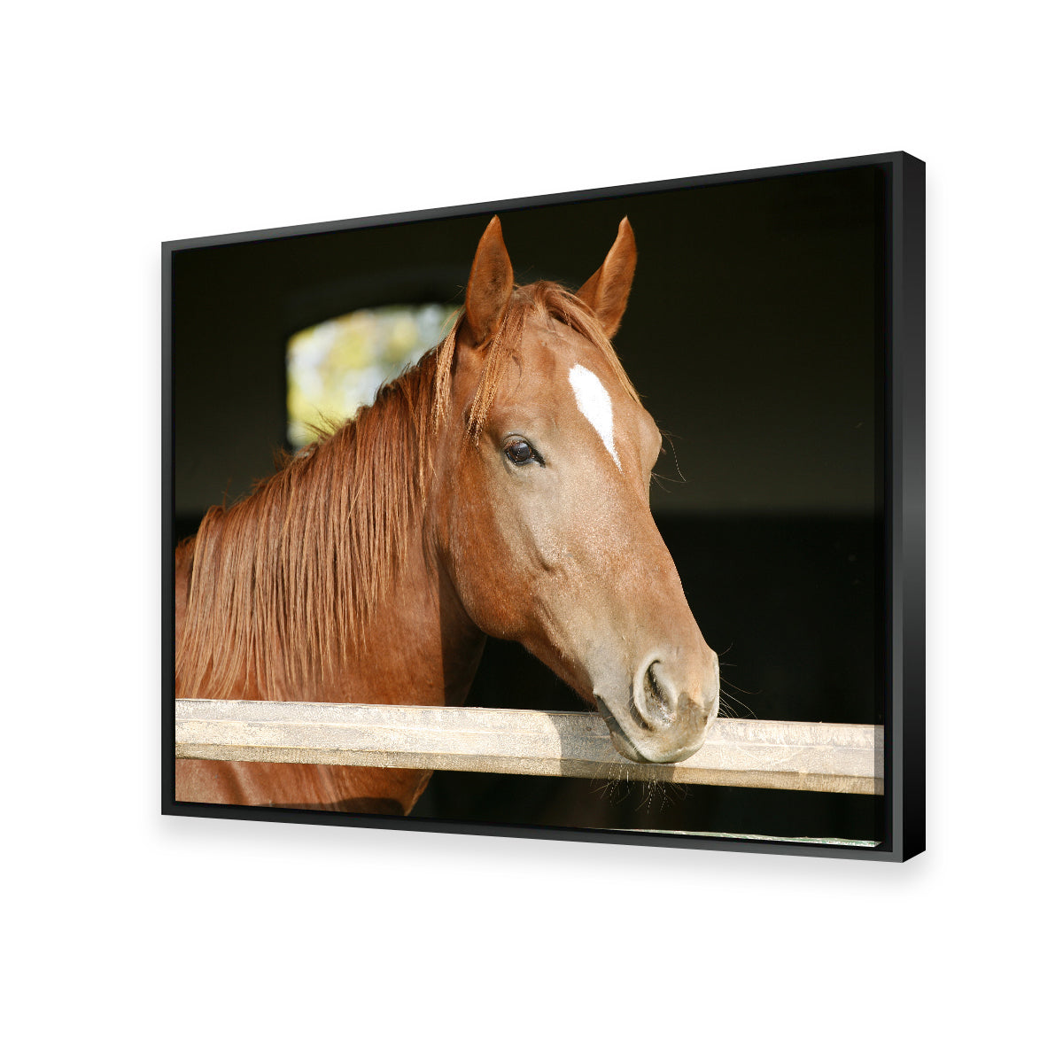 Chestnut Horse Wall Art