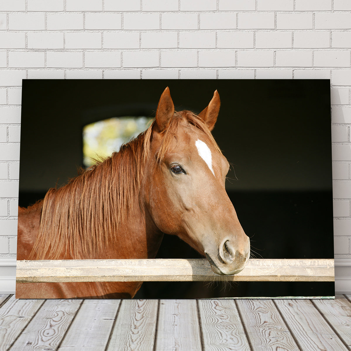 Chestnut Horse Wall Art