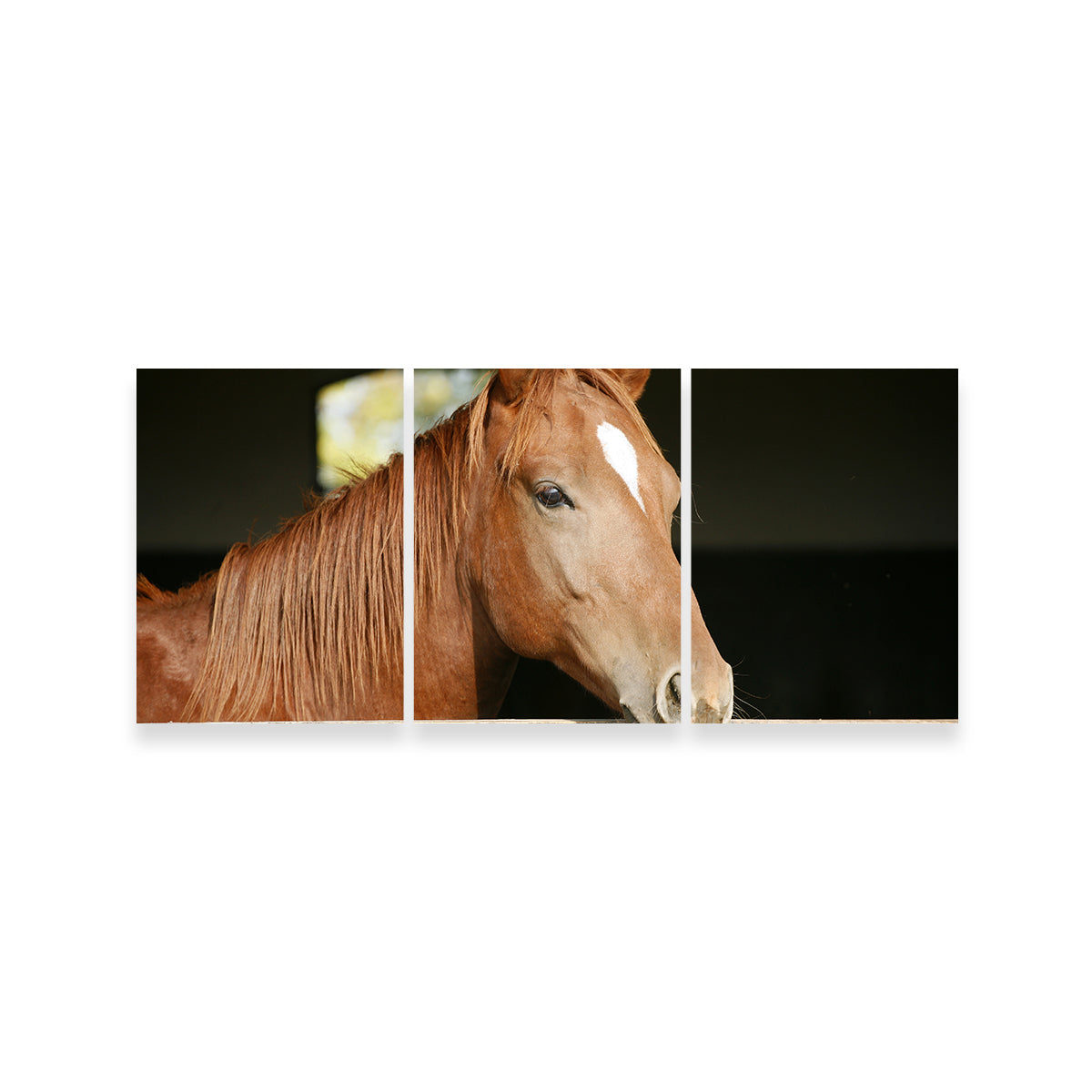Chestnut Horse Wall Art