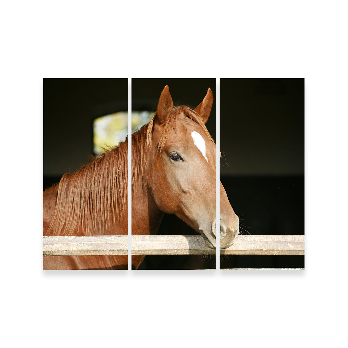 Chestnut Horse Wall Art