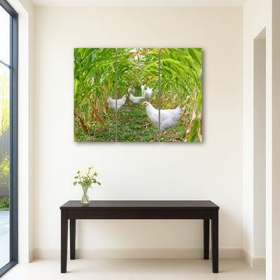 AUTO-MOCKUP ROOM | Chickens in Corn Field