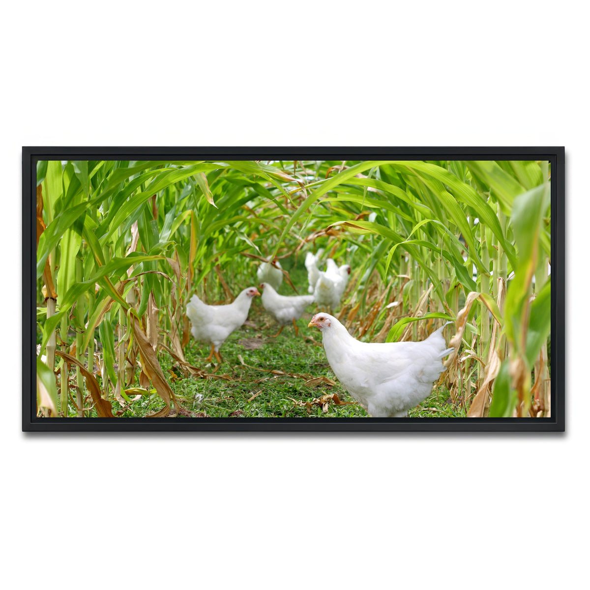 AUTO-MOCKUP WHITE | Chickens in Corn Field | 1 Piece | Black Framed Canvas | group=2x1
