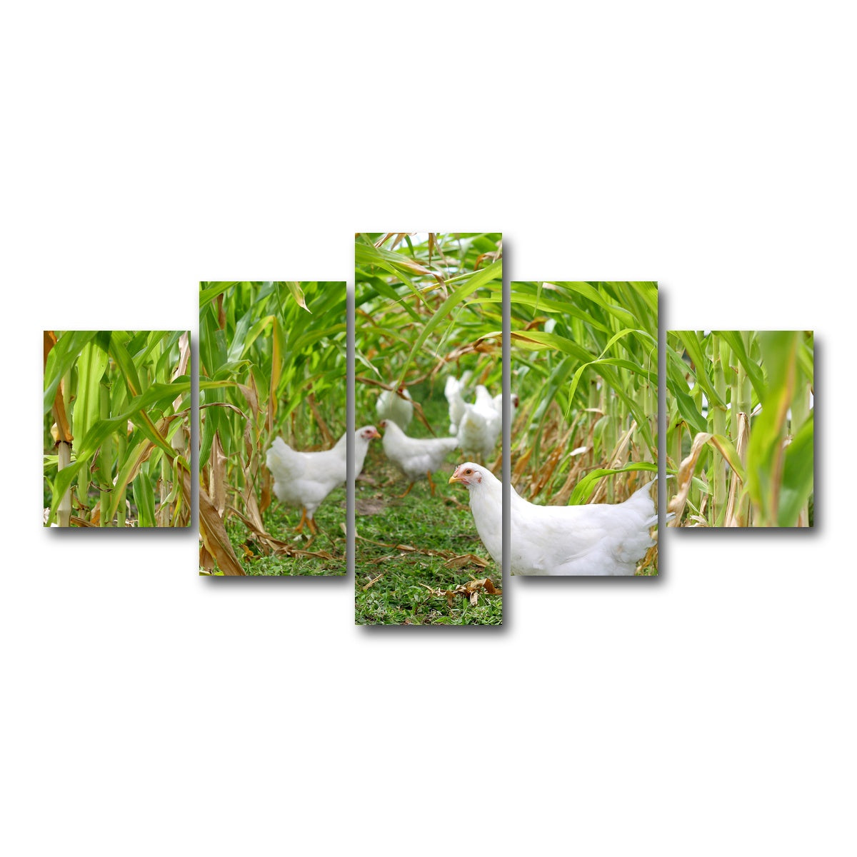AUTO-MOCKUP WHITE | Chickens in Corn Field | 5 Piece | Gallery Wrap Canvas | group=5_short
