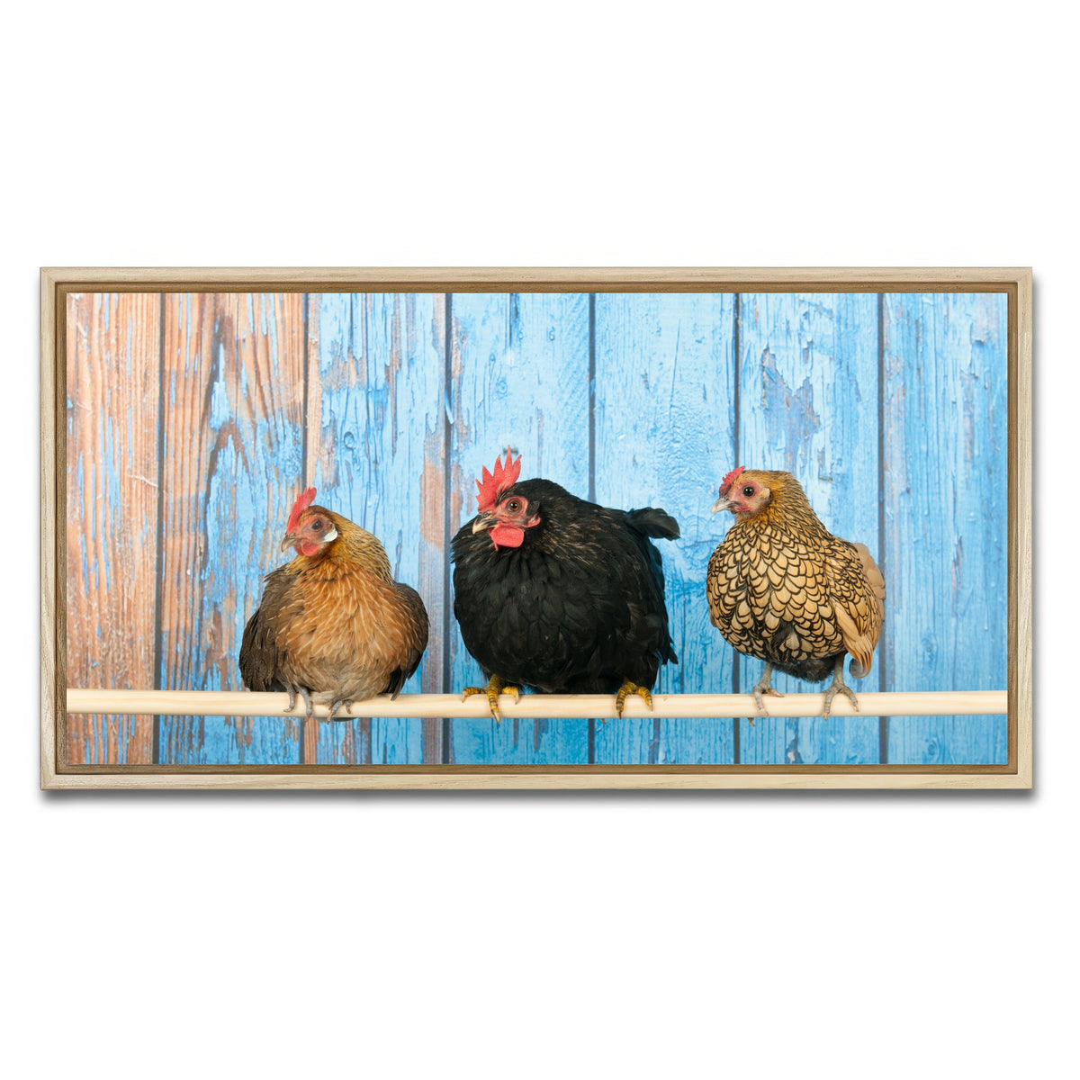 AUTO-MOCKUP WHITE | Chickens in henhouse | 1 Piece | Natural Framed Canvas | group=2x1