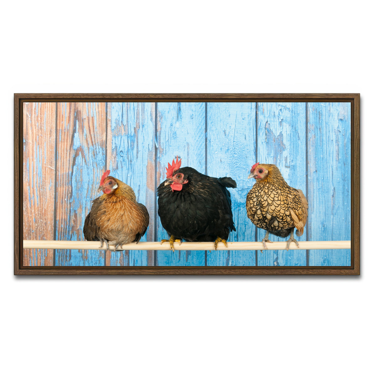 AUTO-MOCKUP WHITE | Chickens in henhouse | 1 Piece | Walnut Framed Canvas | group=2x1