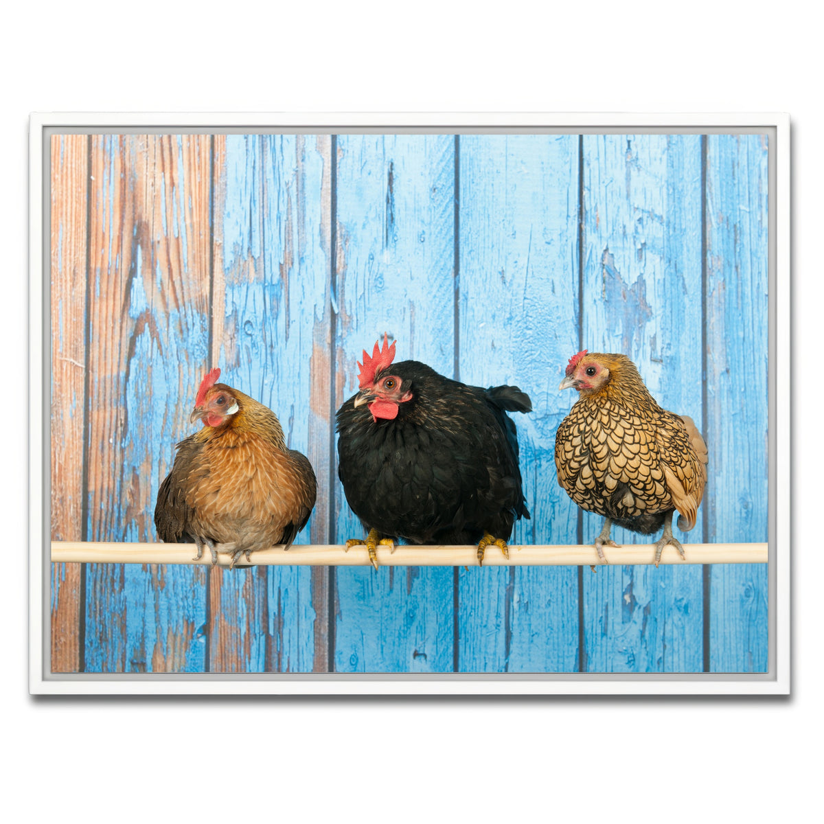 AUTO-MOCKUP WHITE | Chickens in henhouse | 1 Piece | White Framed Canvas | group=4x3