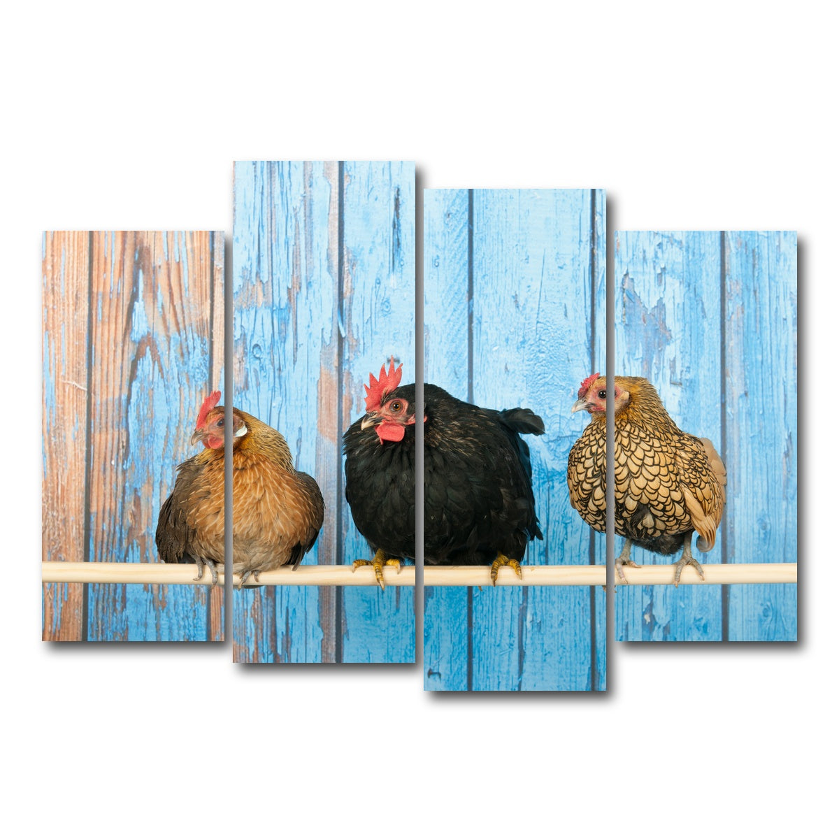 AUTO-MOCKUP WHITE | Chickens in henhouse | 4 Piece | Gallery Wrap Canvas | group=4_normal