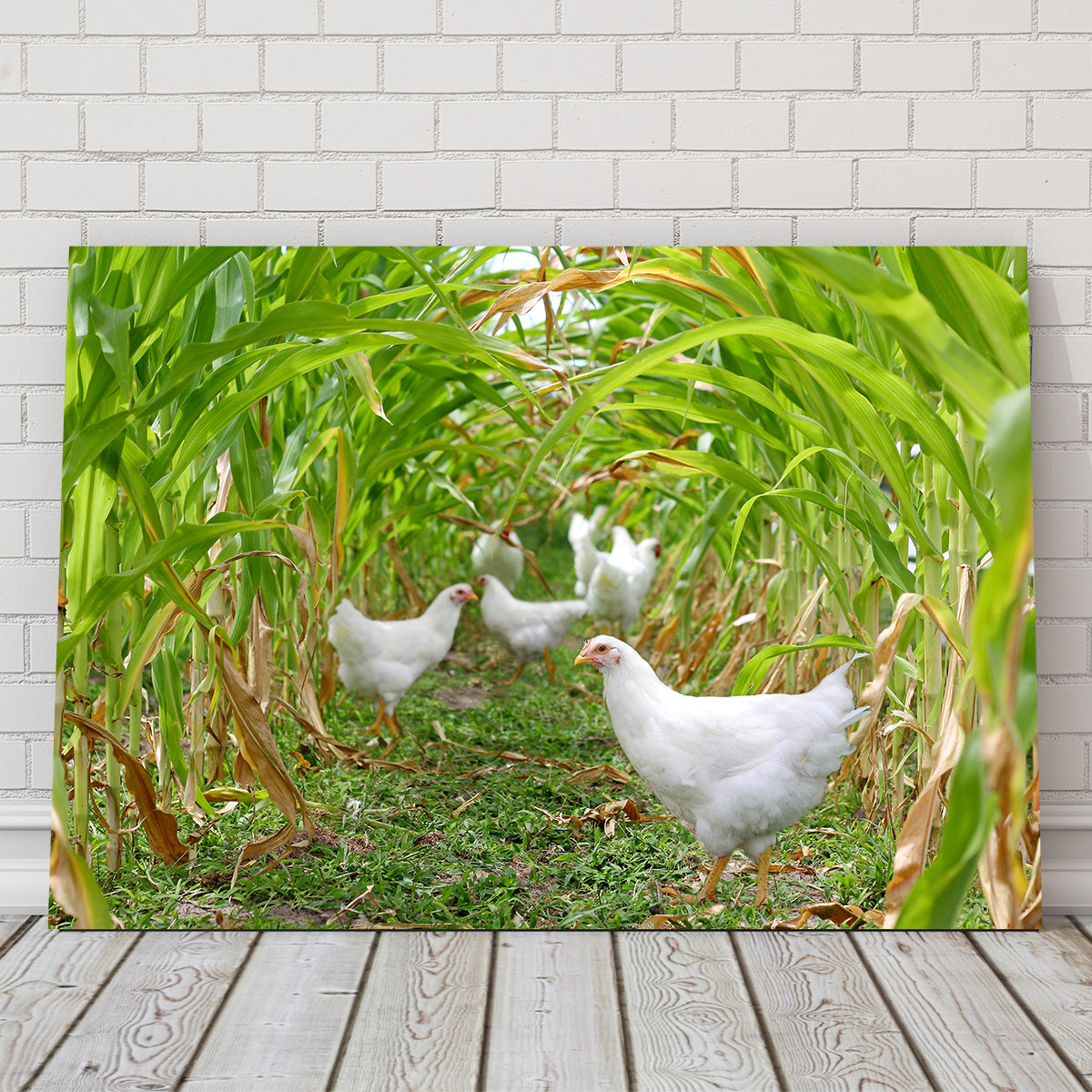 Chickens in Corn Field Wall Art