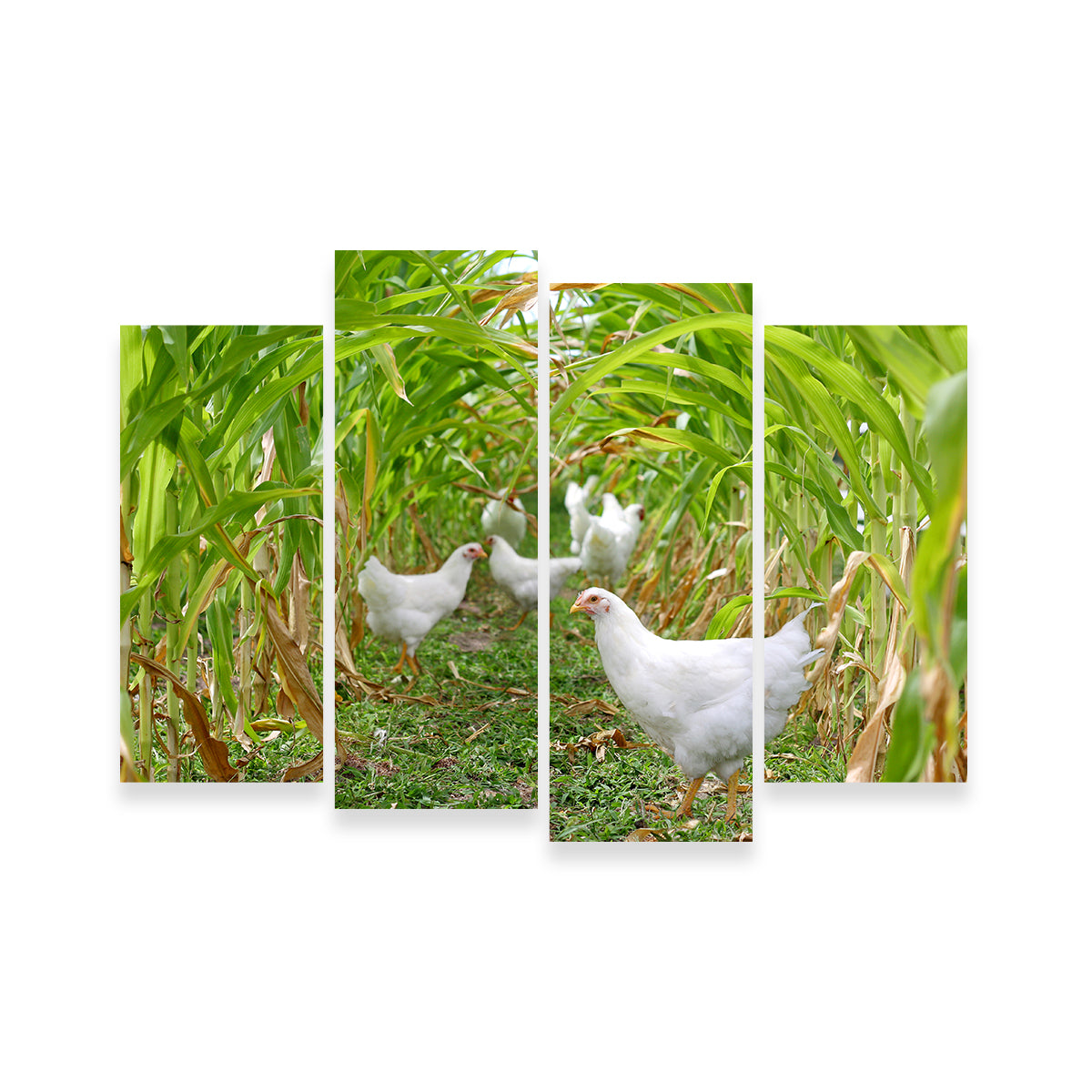 Chickens in Corn Field Wall Art