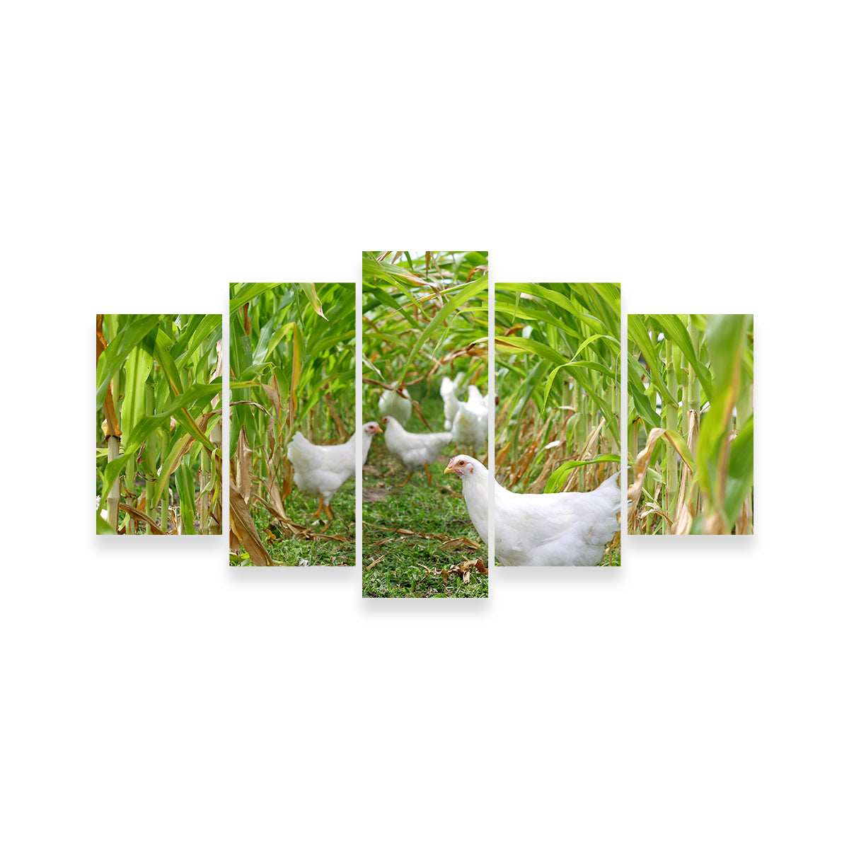 Chickens in Corn Field Wall Art
