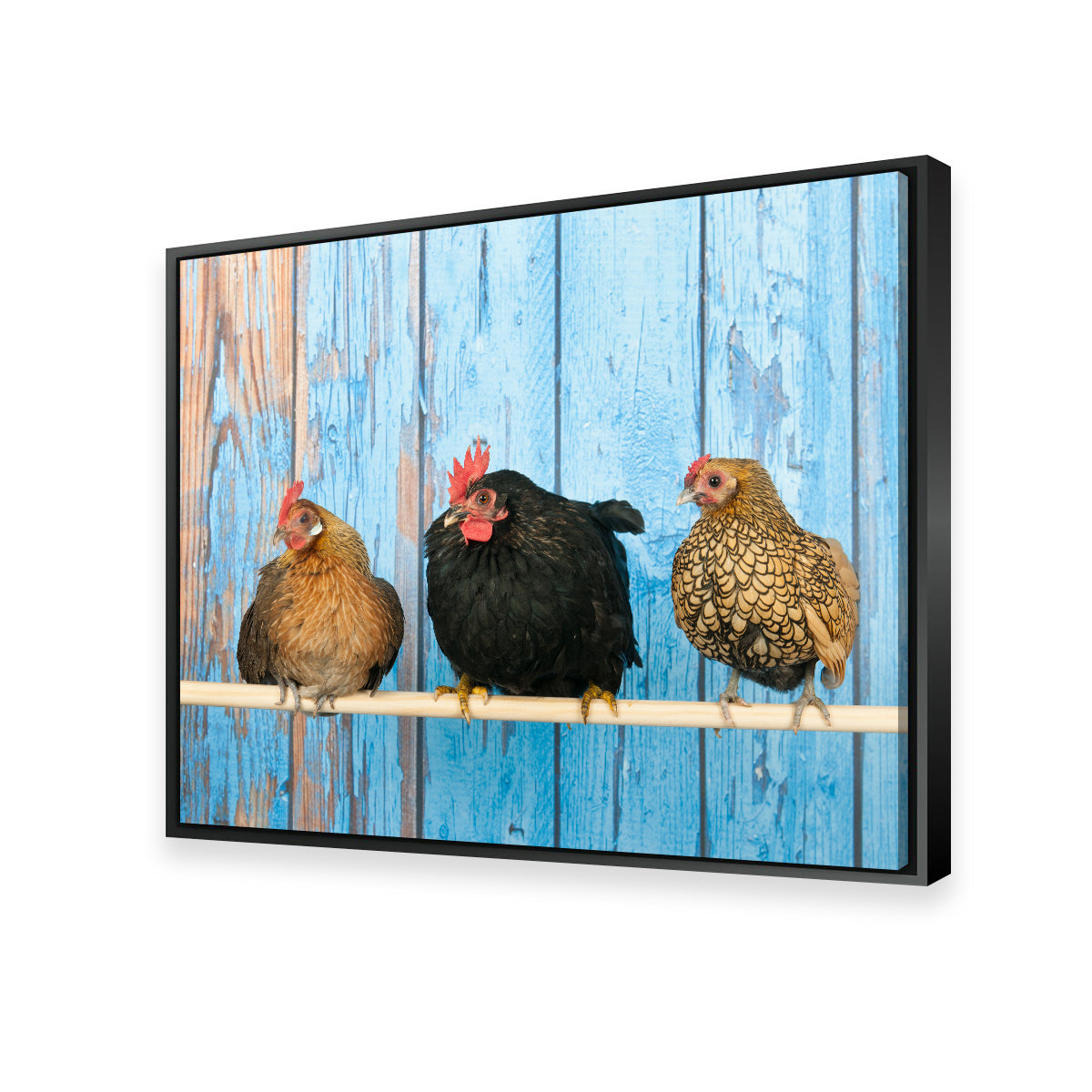 Chickens in Henhouse Wall Art