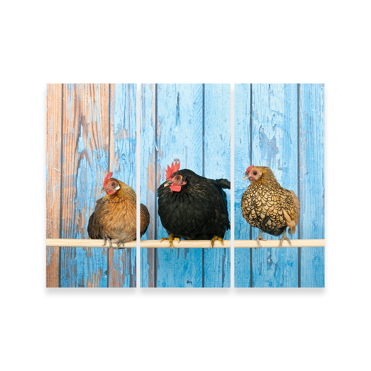 Chickens in Henhouse Wall Art