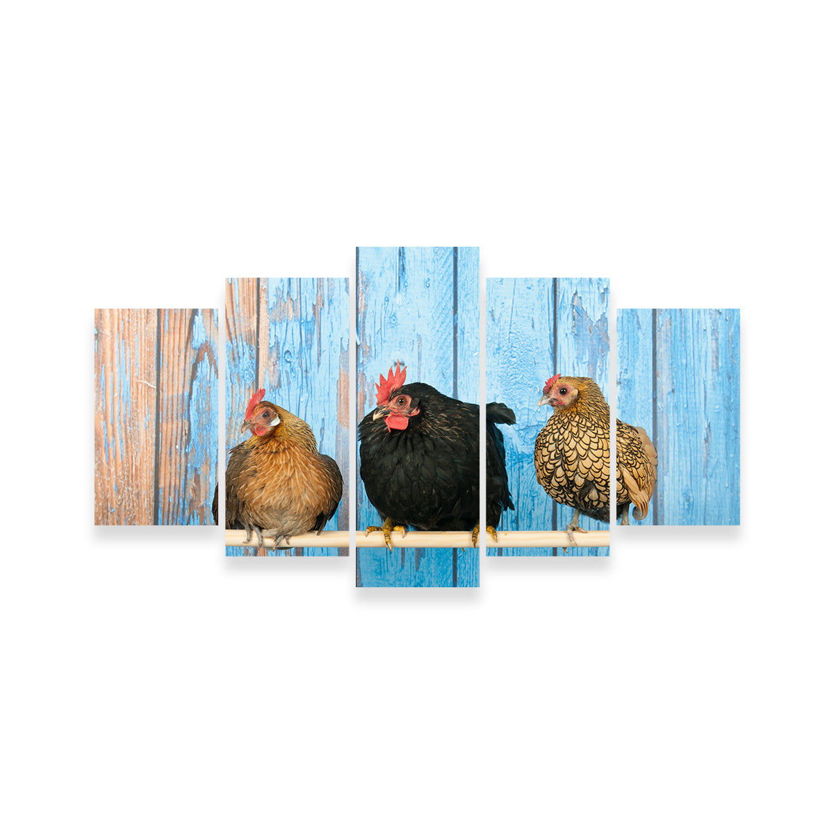 Chickens in Henhouse Wall Art