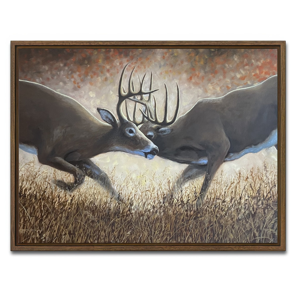 AUTO-MOCKUP WHITE | Clashing Elk | 1 Piece | Walnut Framed Canvas | group=4x3