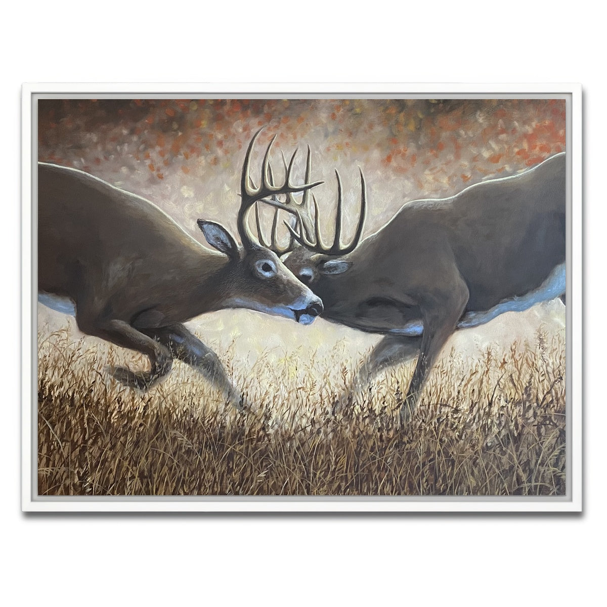 AUTO-MOCKUP WHITE | Clashing Elk | 1 Piece | White Framed Canvas | group=4x3