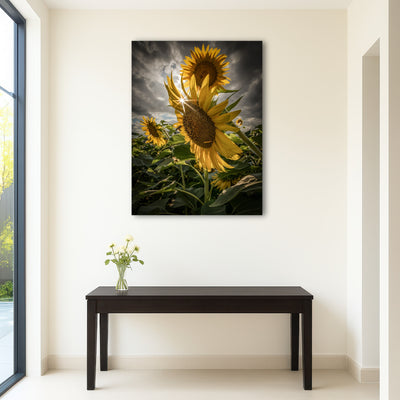 AUTO-MOCKUP ROOM | Cloudy Sunflowers
