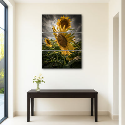 AUTO-MOCKUP ROOM | Cloudy Sunflowers
