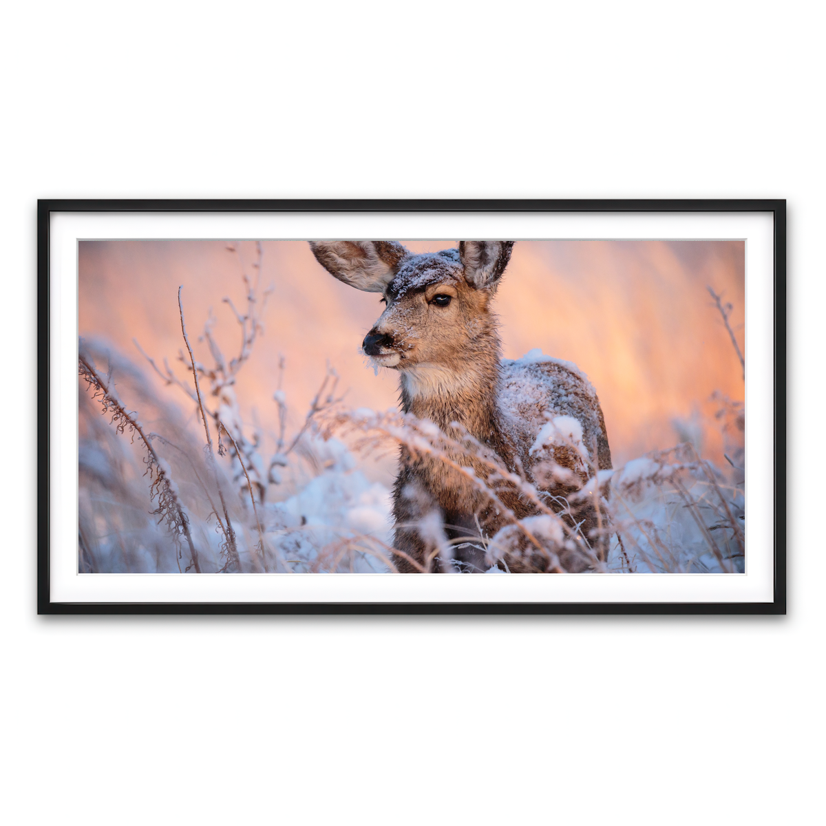 Framed Print 2x1 Black