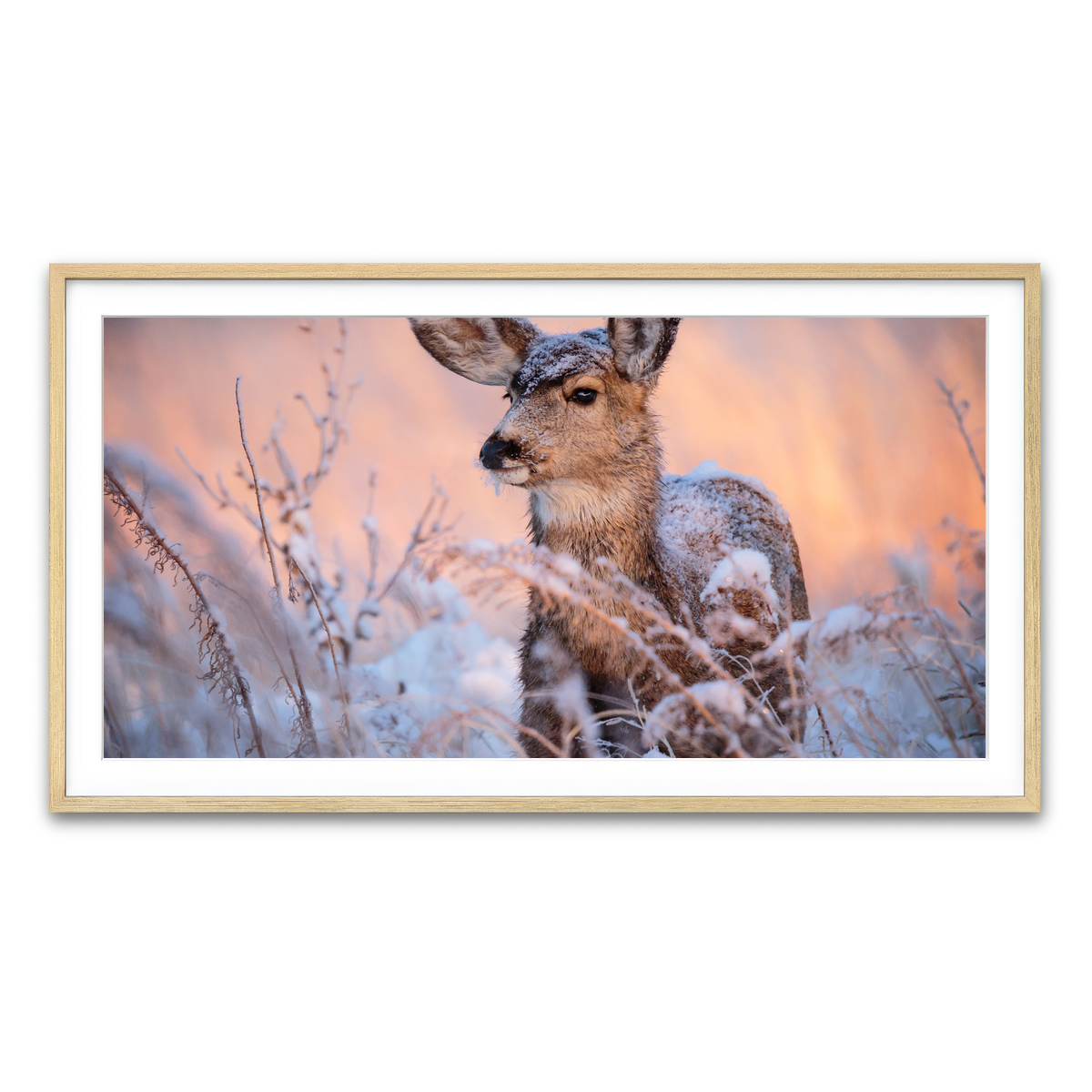 Framed Print 2x1 Natural