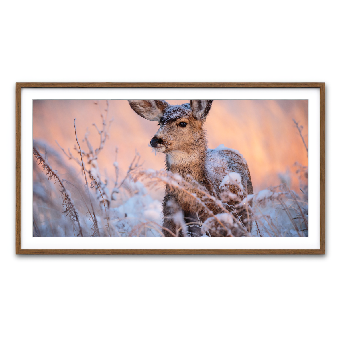 Framed Print 2x1 Walnut