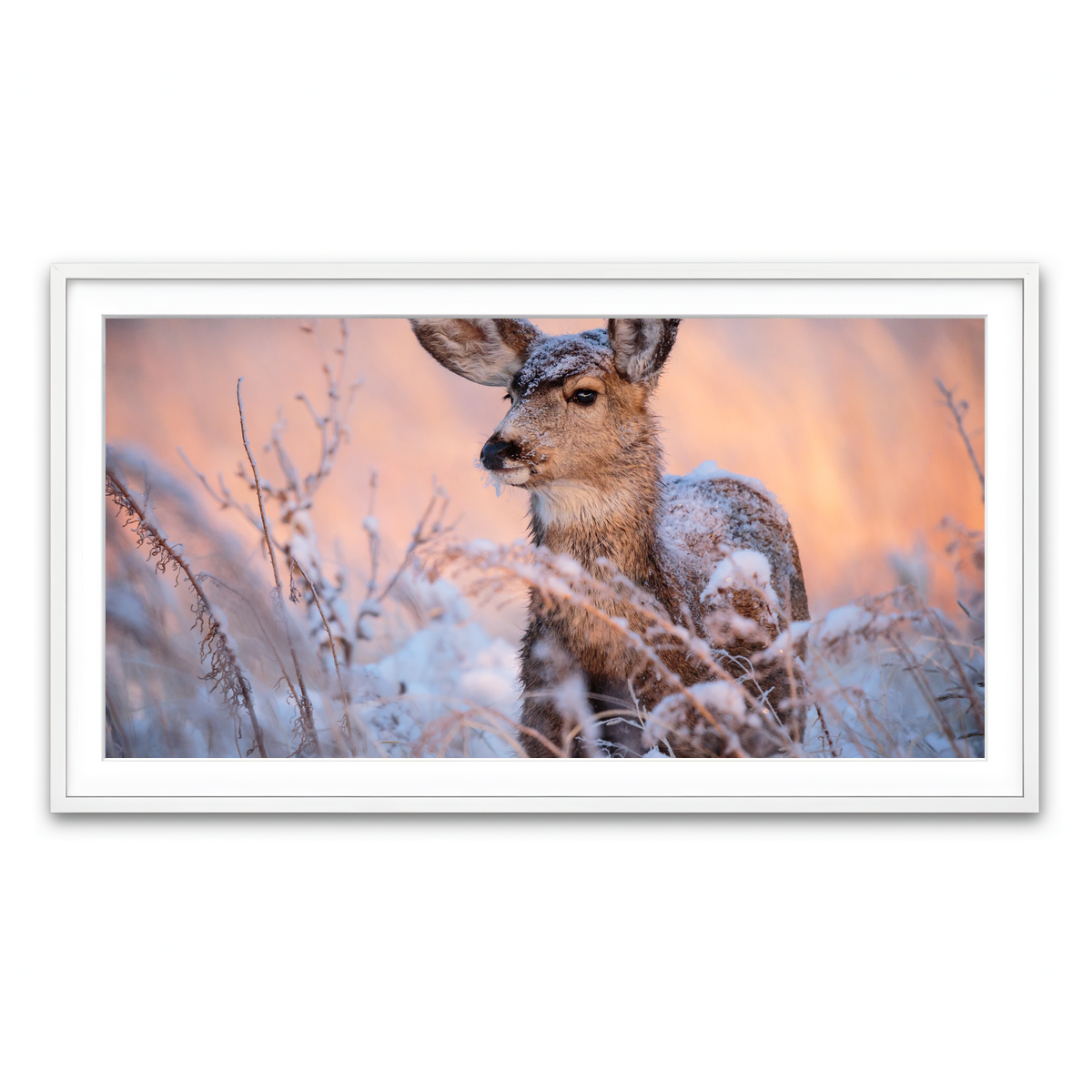 Framed Print 2x1 White
