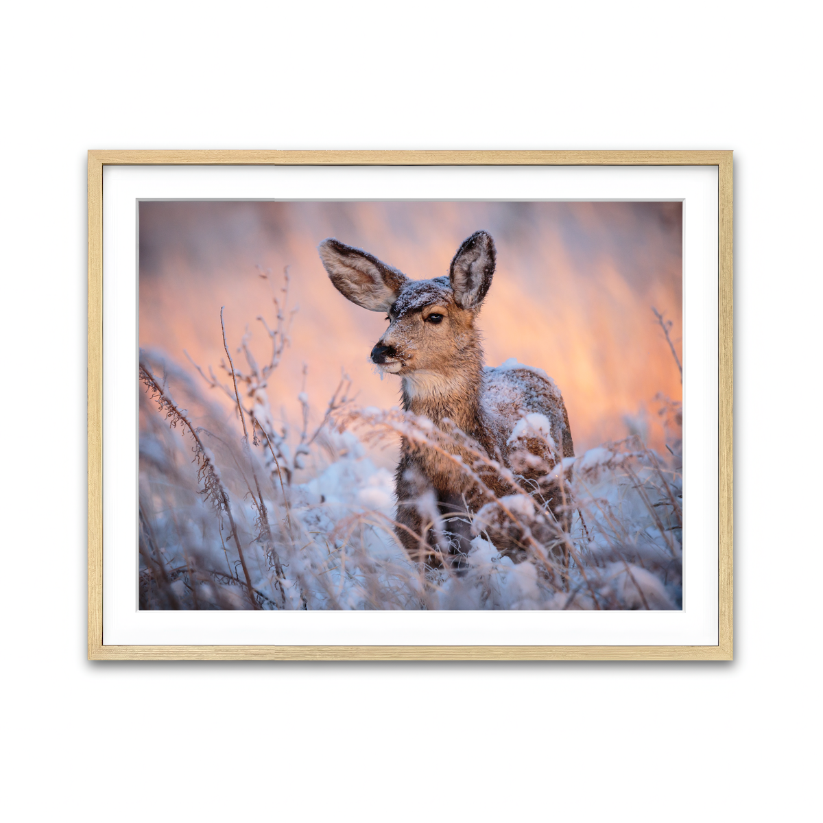 Framed Print 4x3 Natural